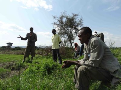 Hawassa Ethiopie. Kleine boerencooperatie bezig met groententeelt 